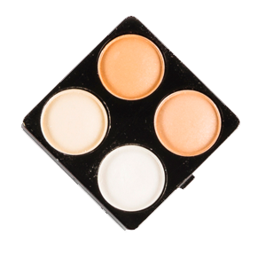 Light Medium Ultra Cover And Concealer Palette