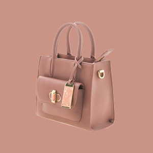 Brown Handbag