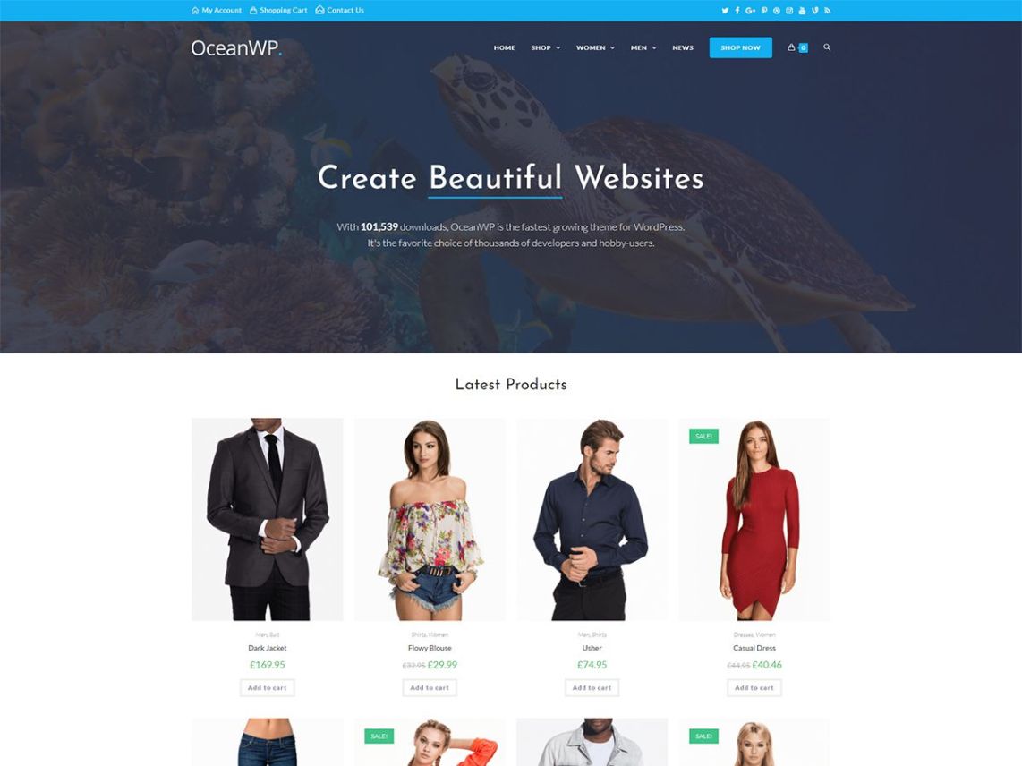 OceanWP WordPress free elementor Theme