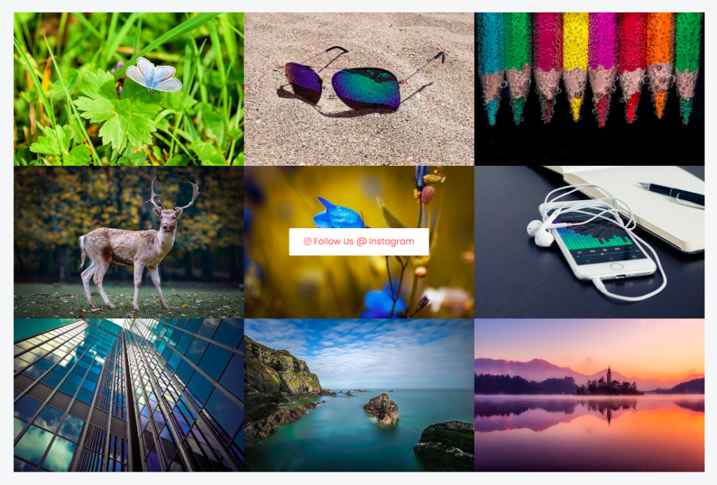 elementor-instagram-gallery-widget