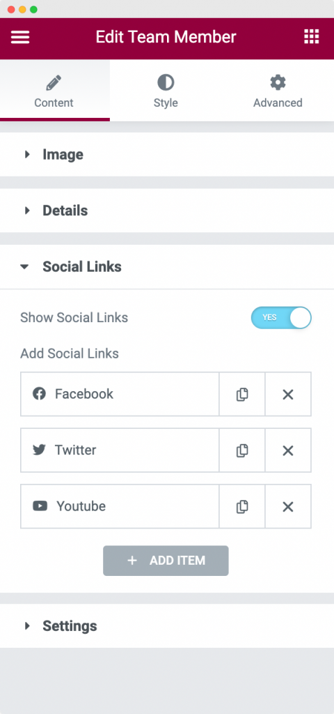 Social Links Section in the Content Tab of the Team Member Widget