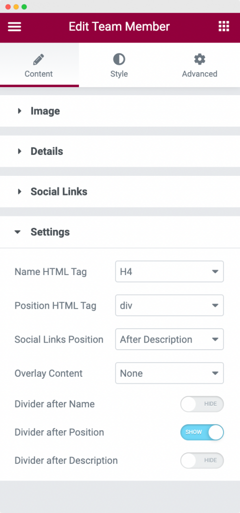 Settings Section in the Content Tab of the Team Member Widget