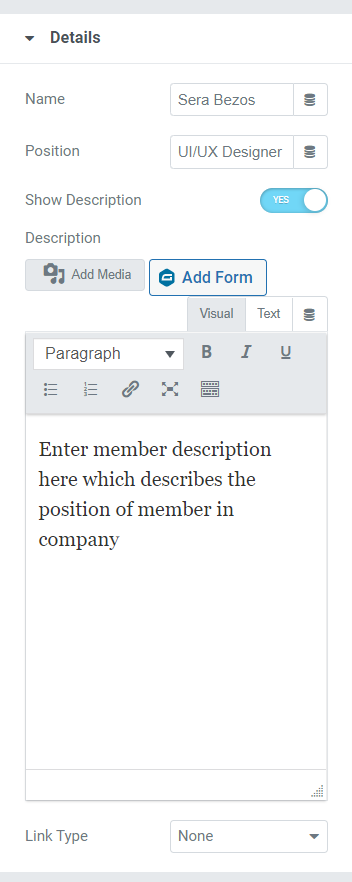 Details Section in the Content Tab of Team Member Widget