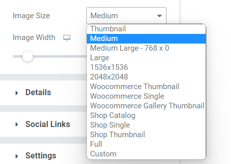 Image Size options in PowerPack Team Member Widget