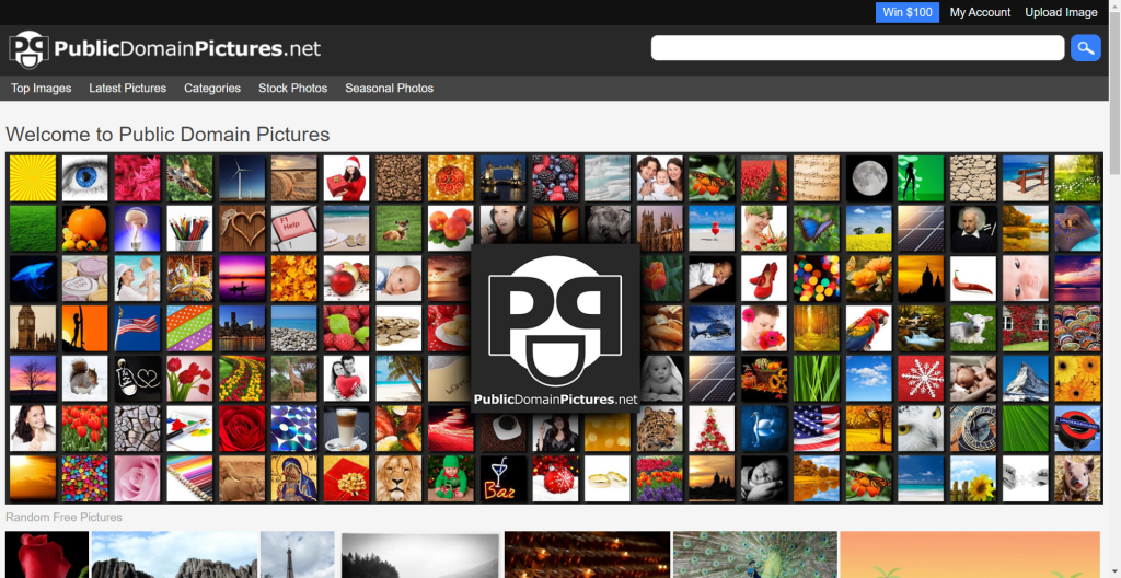 Visit PublicDomainPictures for royalty-free images & videos for your WordPress website