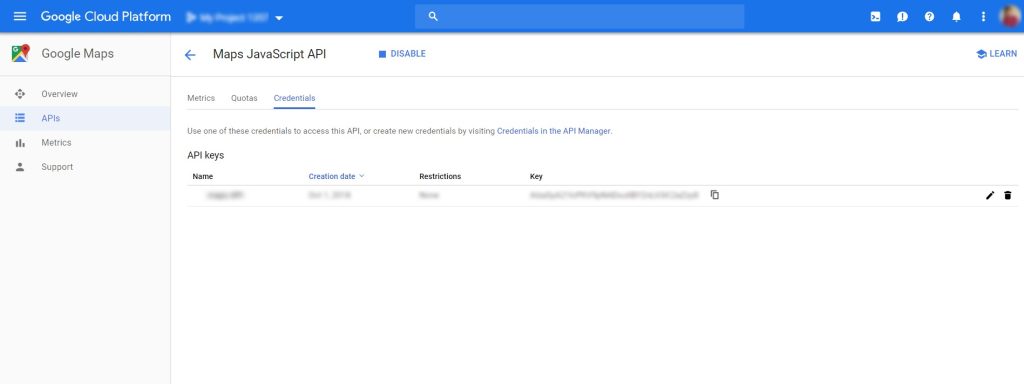 google maps api key