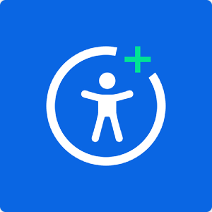 Wordpress Accessibility Plugin